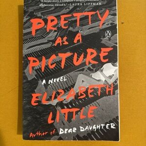 Pretty as a Picture paperback book
